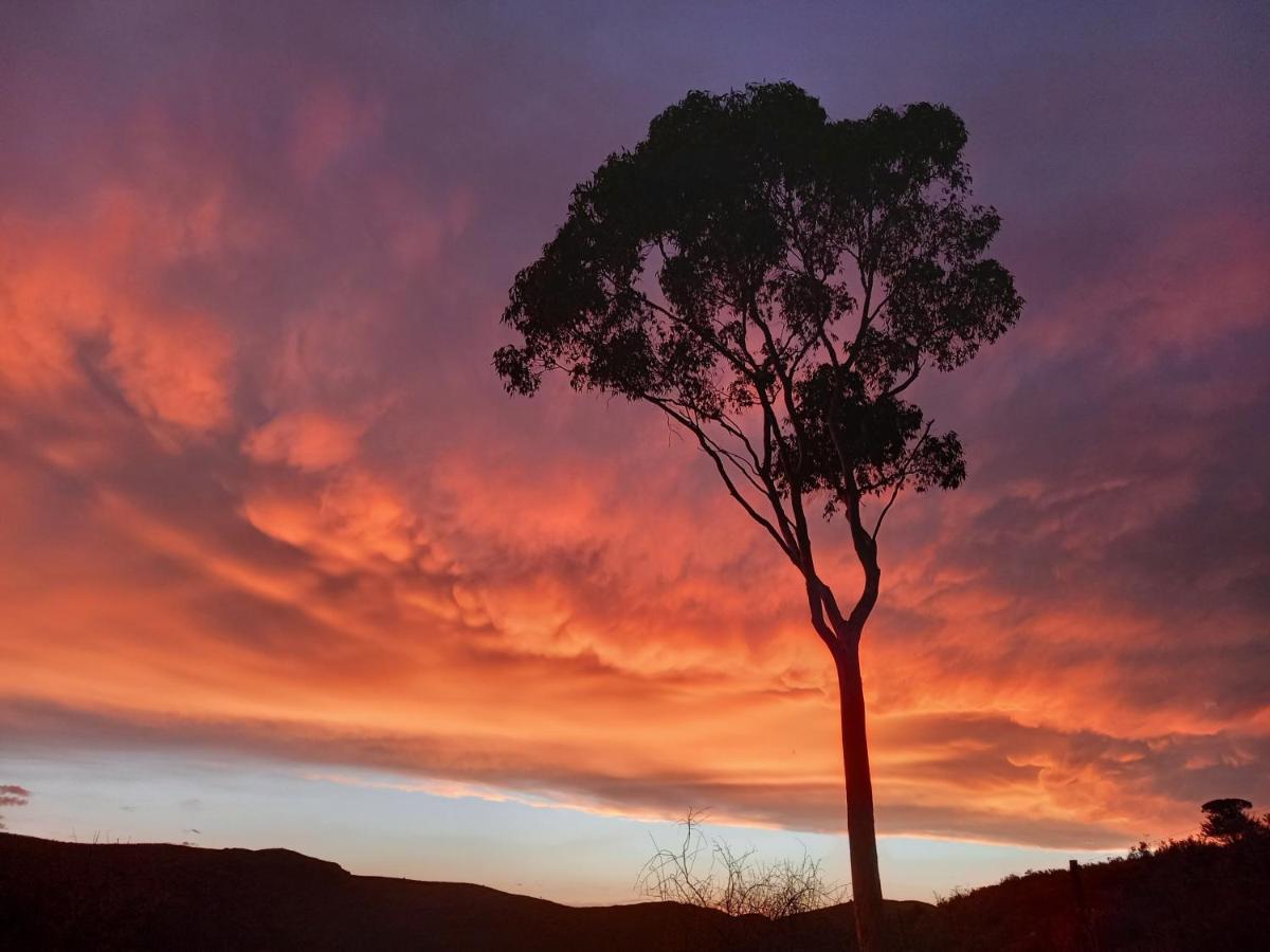 Wolverfontein Karoo Cottages Ladismith Dış mekan fotoğraf