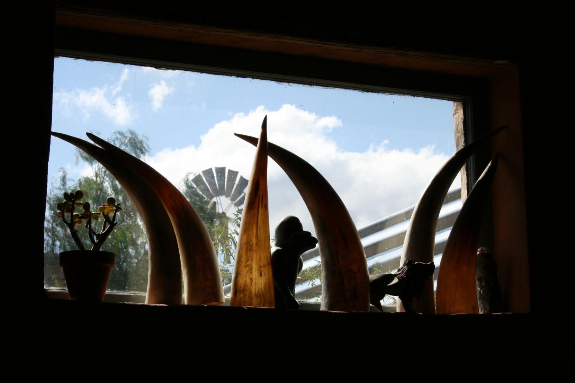 Wolverfontein Karoo Cottages Ladismith Dış mekan fotoğraf