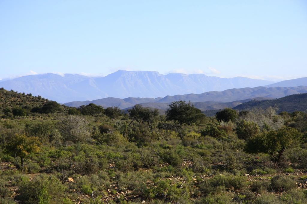 Wolverfontein Karoo Cottages Ladismith Dış mekan fotoğraf