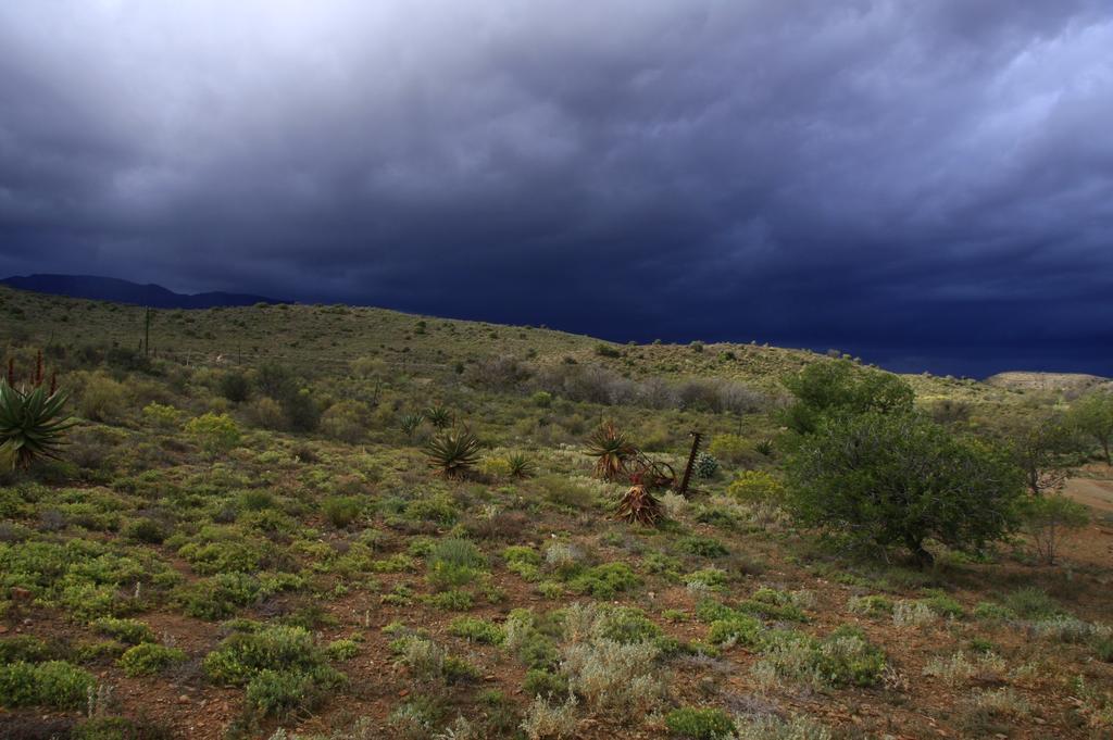 Wolverfontein Karoo Cottages Ladismith Dış mekan fotoğraf